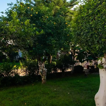 Olga - 2 Apartment *