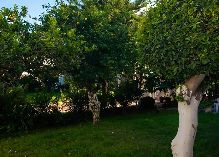 Olga - 2 Apartment *